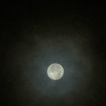 IMG_3206